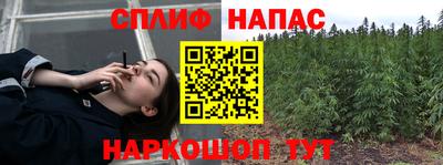 гашик Будённовск