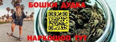 гашик Будённовск