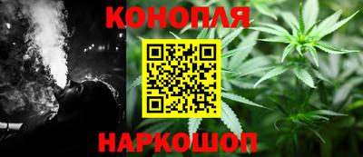 гашик Будённовск