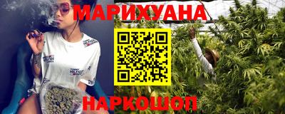 гашик Будённовск